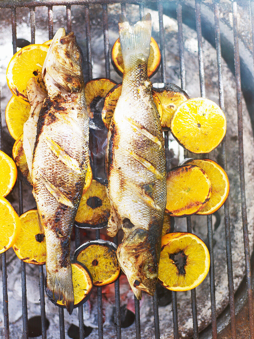 Grilled sea bass with citrus slices on grill rack