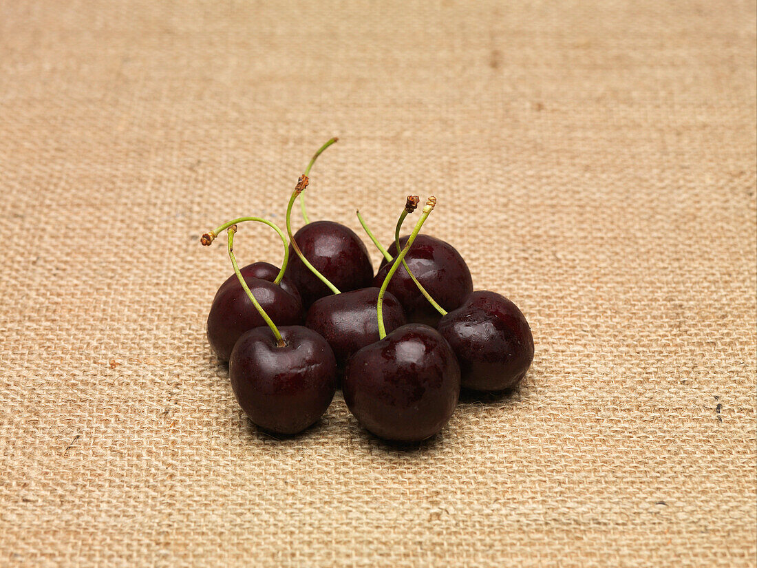 Stella Cherries on burlap