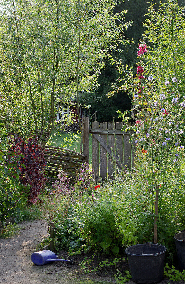 A willow fence and garden gate in a sunny natural garden