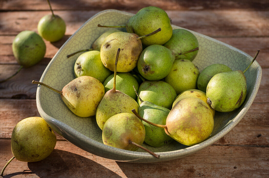 Pears in a bowl on a rustic wooden table in the garden