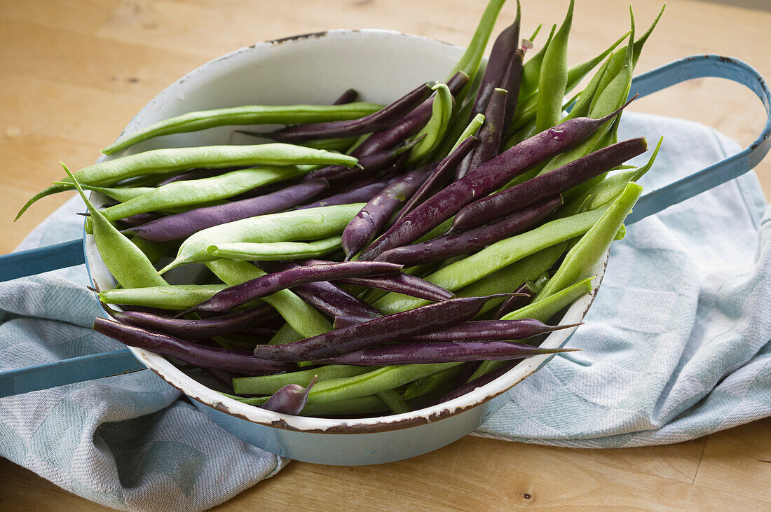 Blue and green beans in a vintage enamel colander