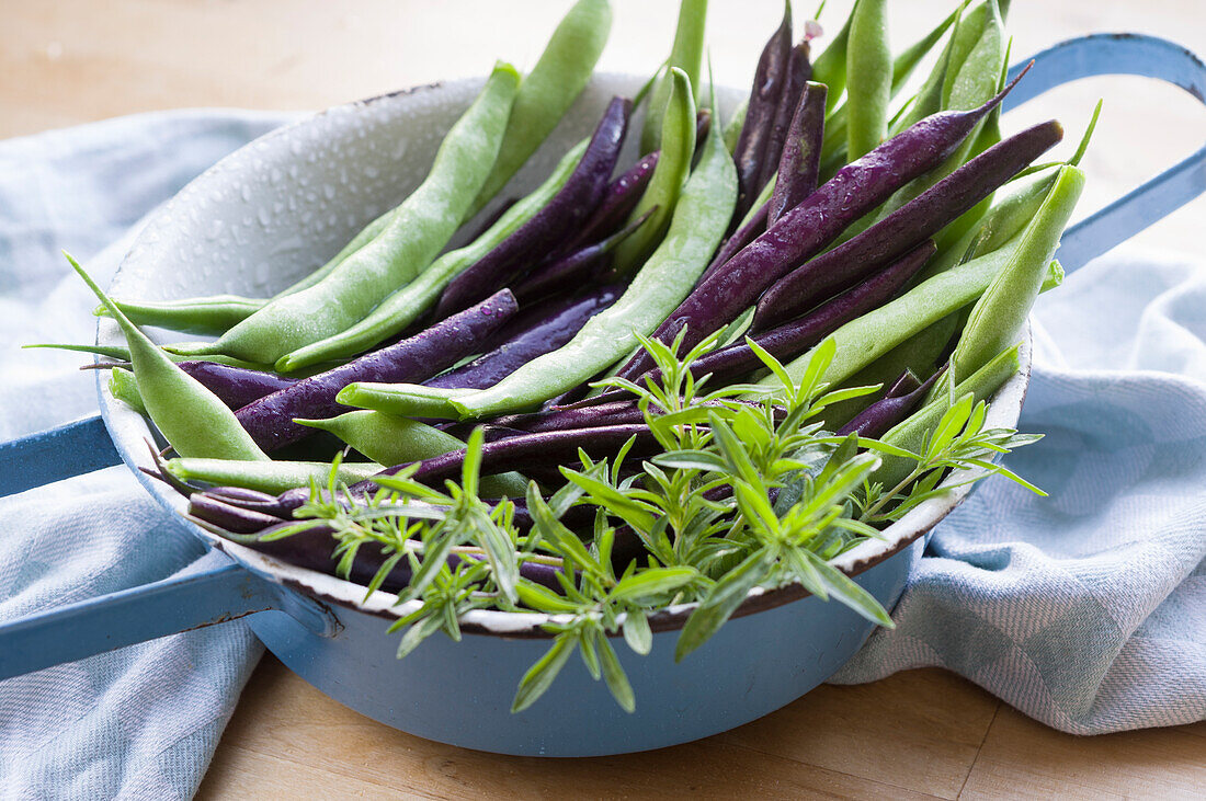 Violette und grüne Bohnen mit Bohnenkraut in einem Vintage-Emaillesieb