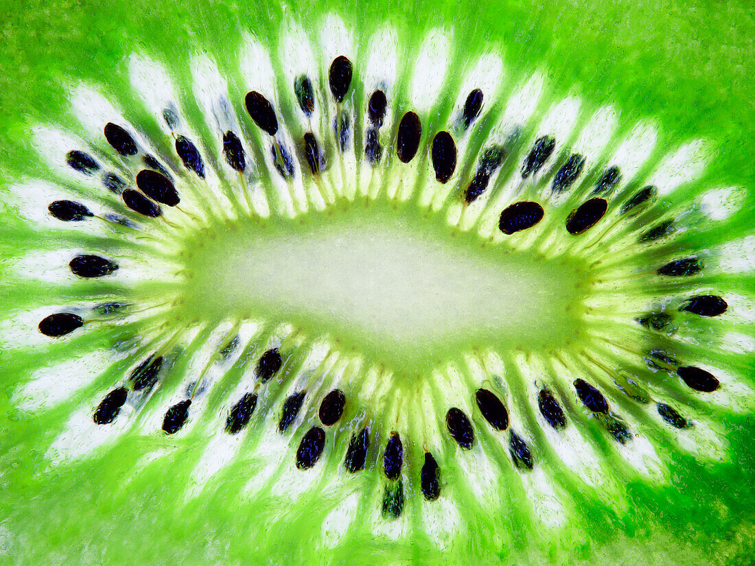 Kiwi (Close Up, Bildfüllend)