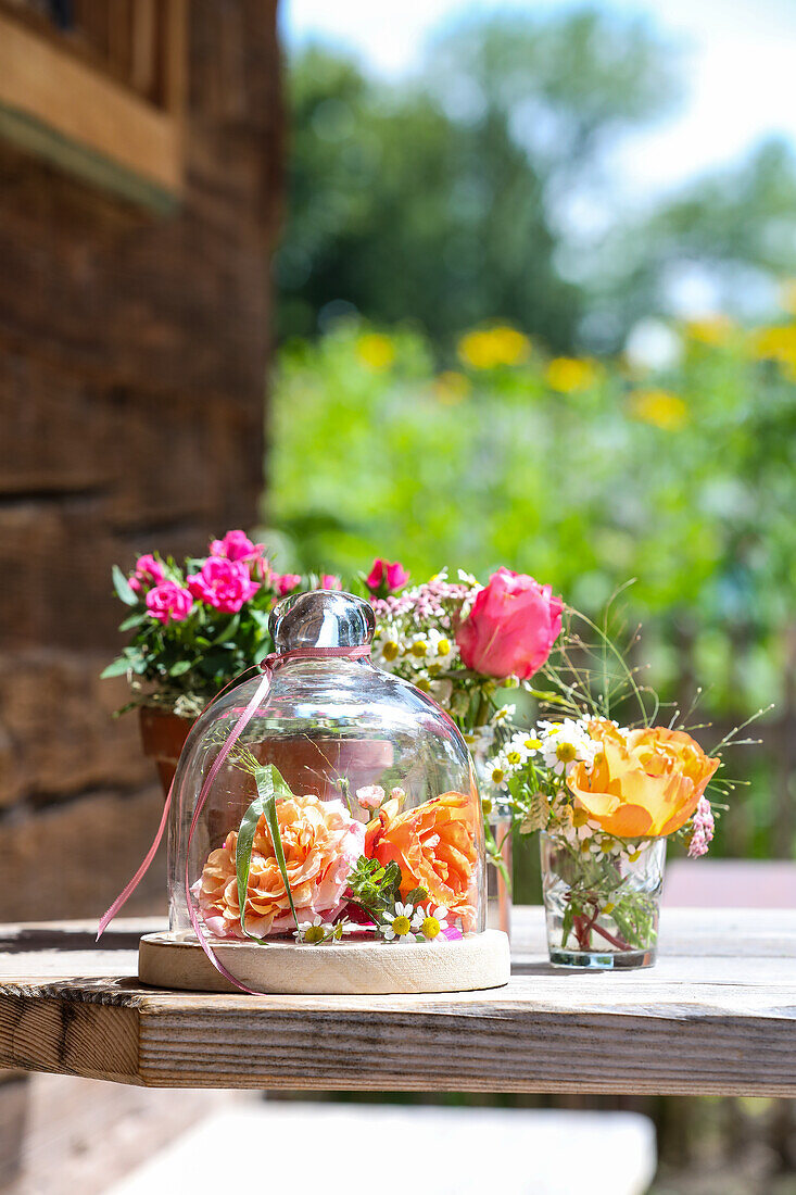 Rosenblüten unter Glasglocke, in Gläschen und im Terrakottatopf