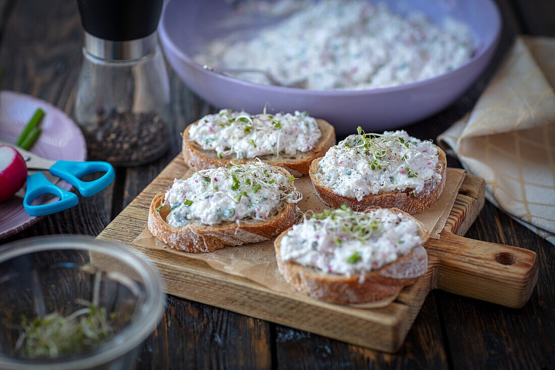 Cottage cheese and radishes spread