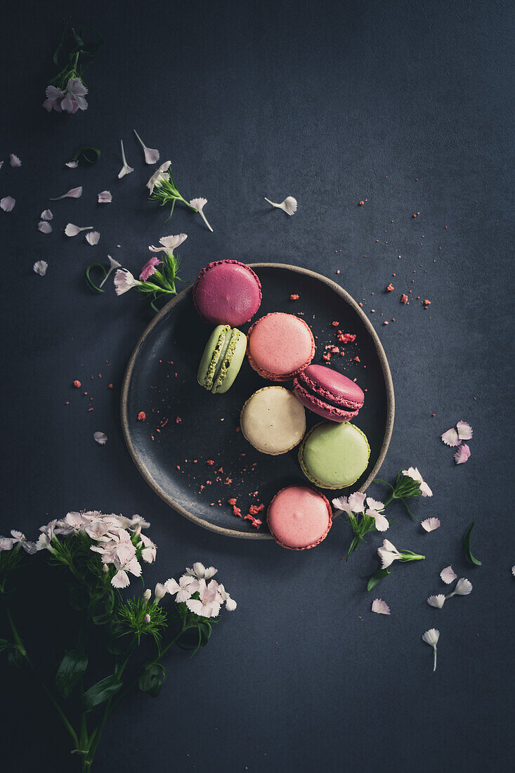 Bunte Macarons auf Teller daneben Blüten