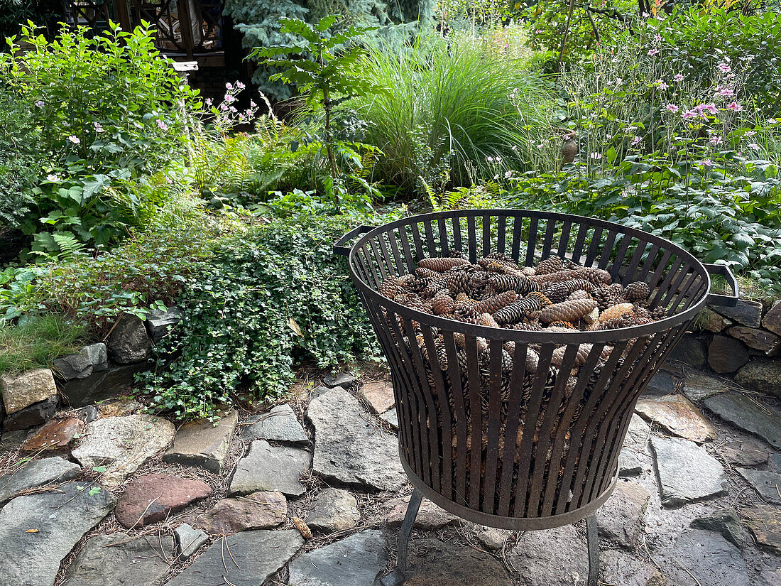 Summer in the garden, fire pit filled with pine cones