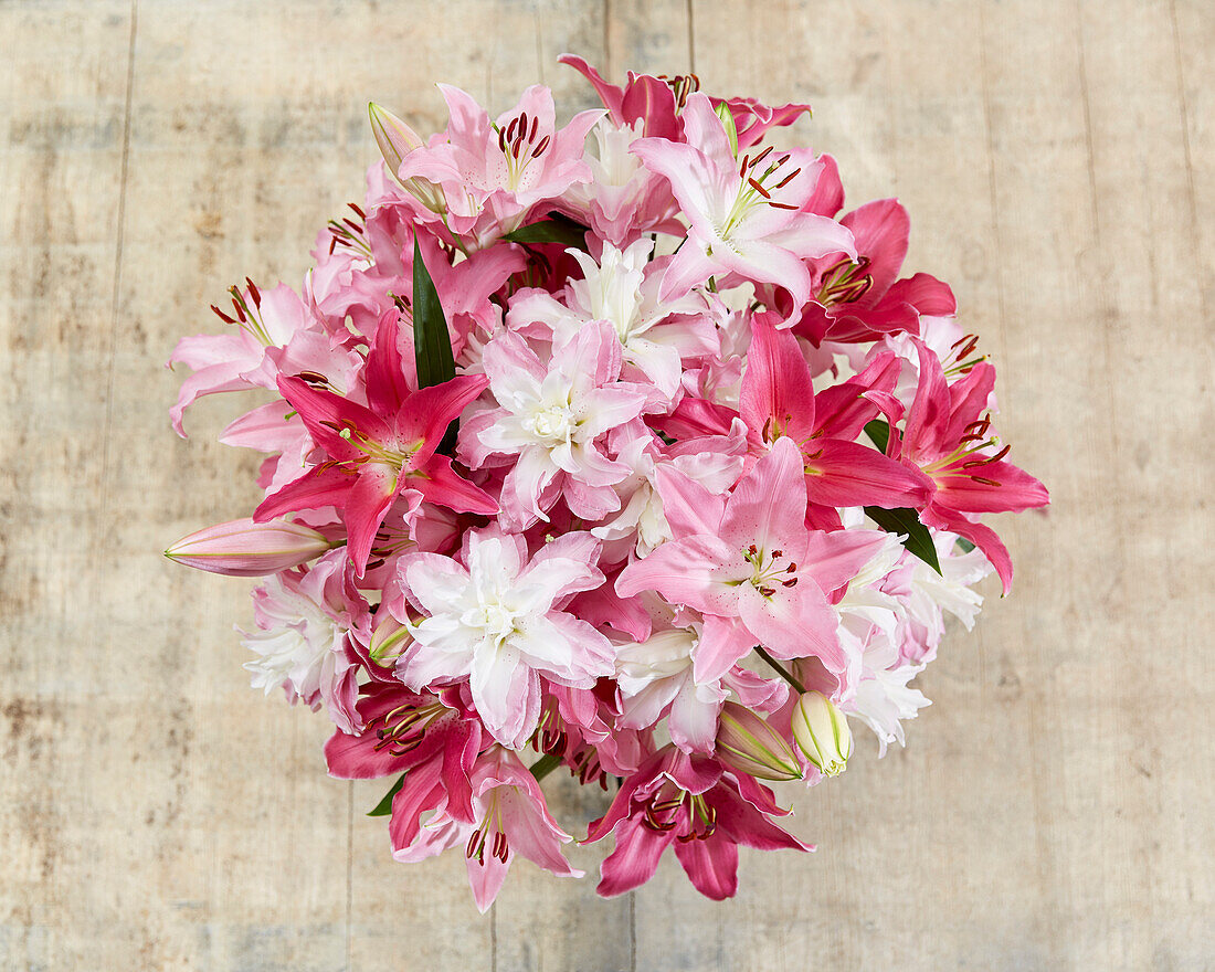 Lilium oriental pastel bouquet