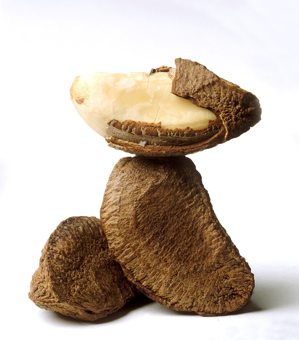 Two whole Brazil nuts and a Brazil nut kernel in a broken shell