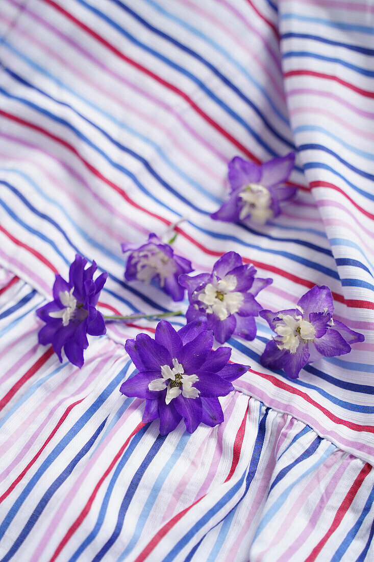 Ritterspornblüten (Delphinium) auf gestreiftem Stoff