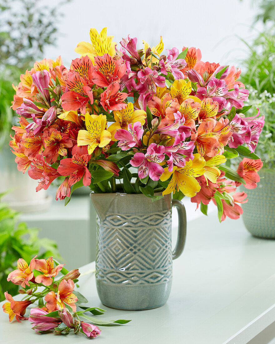 Alstroemeria Majestic mixed bouquet