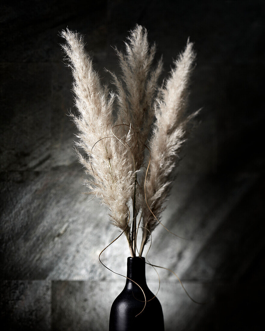 Cortaderia flowers in vase