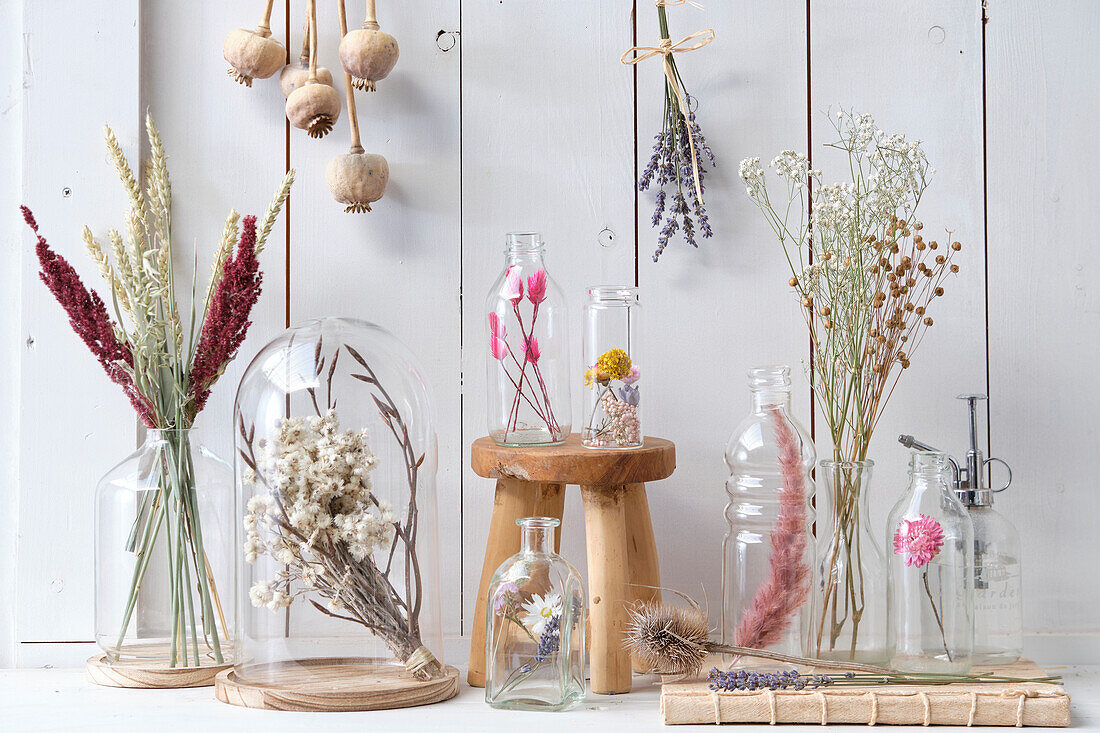 Dried flowers collection