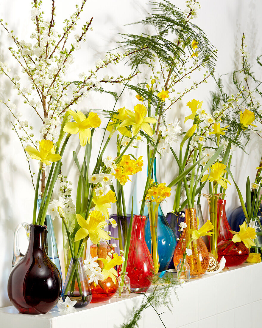 Spring flowers in vases