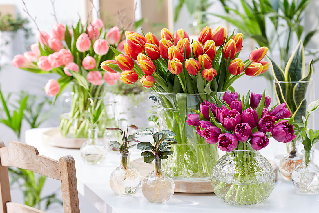 Tulipa bouquets