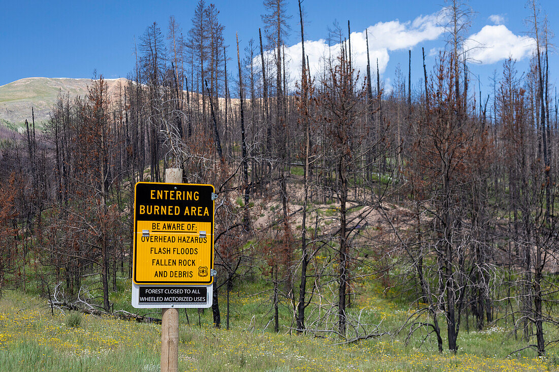 East Troublesome Fire, Colorado, USA, aerial photograph