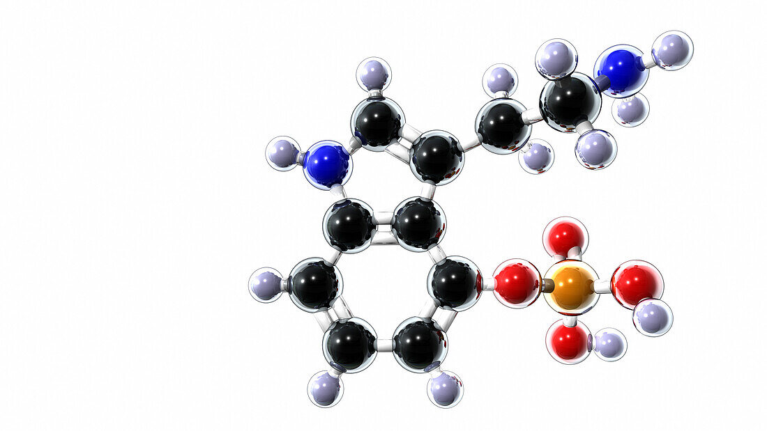 Norbaeocystin molecule, illustration