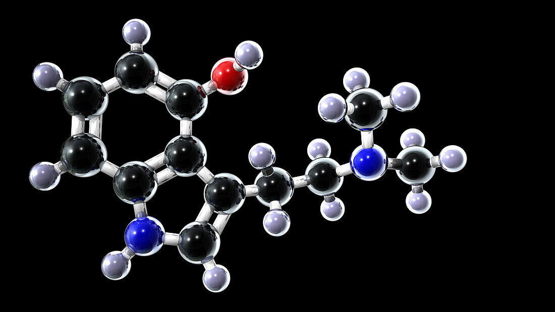 Psilocin molecule