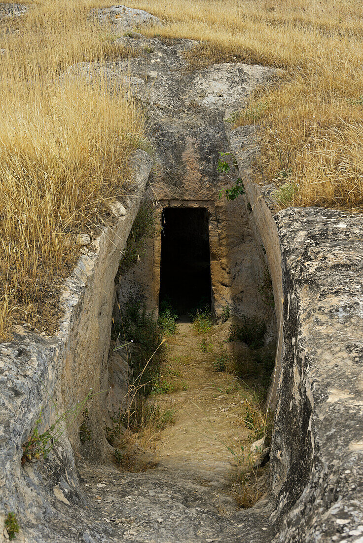 Mycenaean chambered tomb, Aidonia
