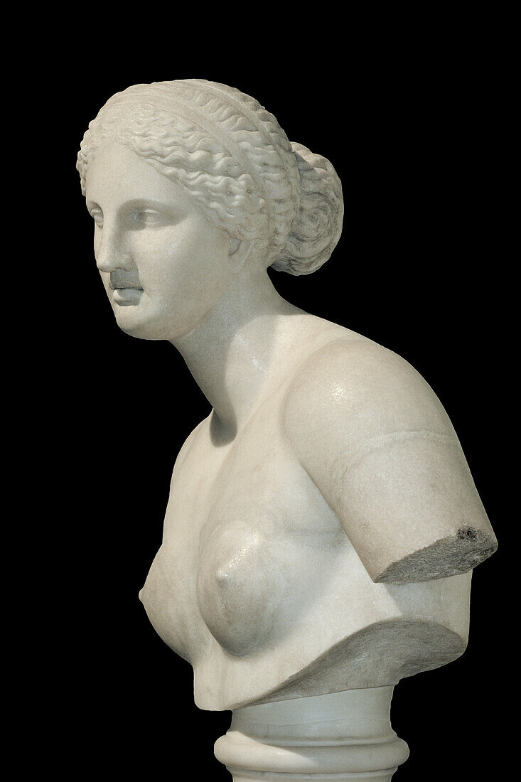 Aphrodite at Knidos bust