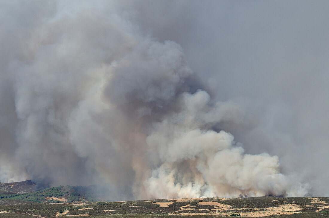 Wildfires in Spain