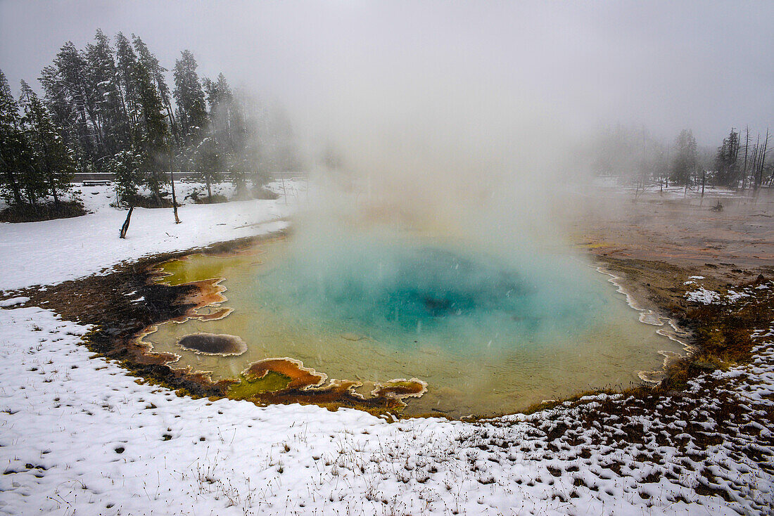 Fountain Paint Pot in Yellowstone National Park, USA