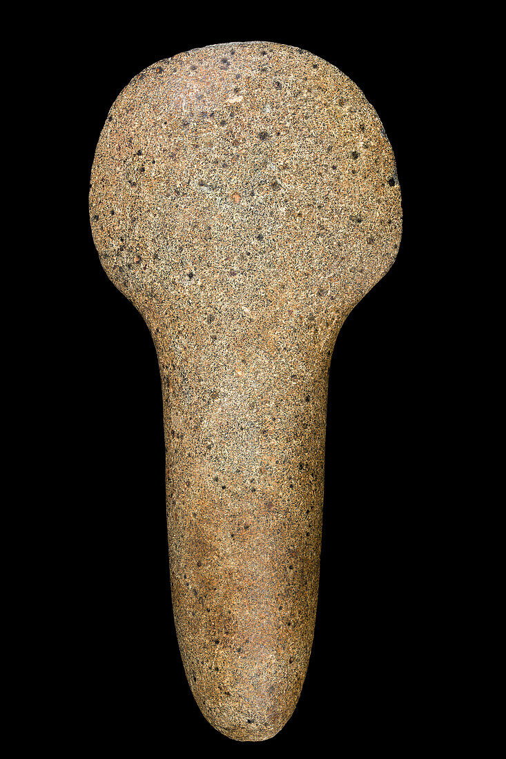 Polished stone axe with spatula
