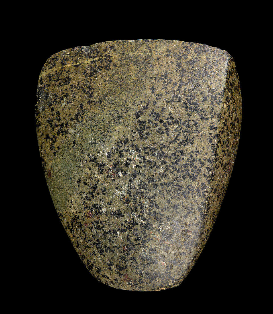 Stone polished axe