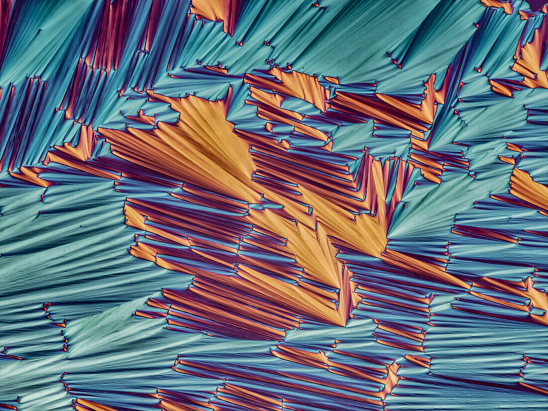 Crystallised sodium phenylbyturate, light micrograph