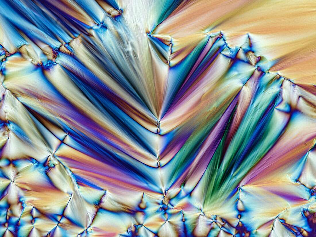Crystallised sodium phenylbyturate, light micrograph