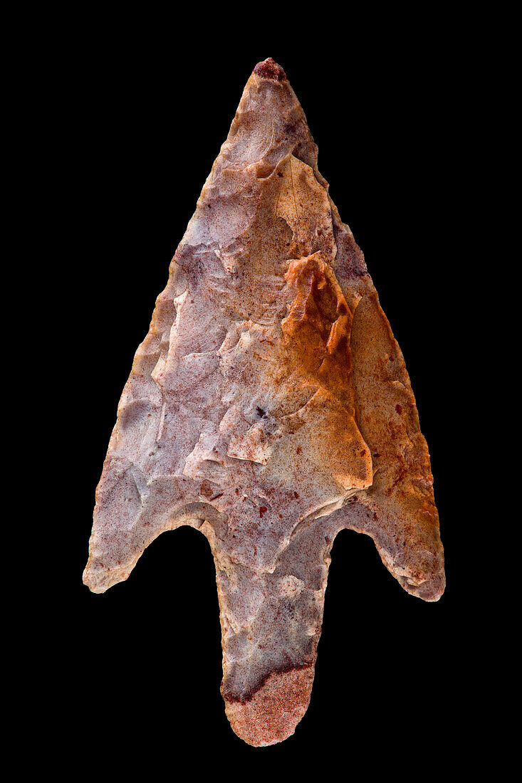 Neolithic arrow head