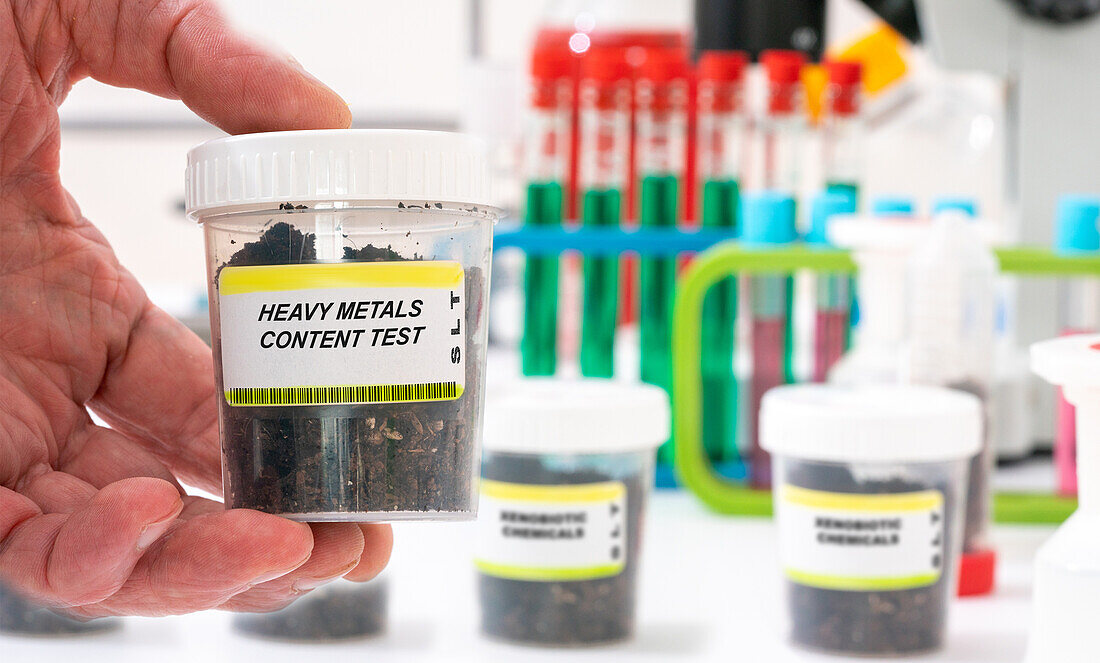 Heavy metals content test in a soil sample