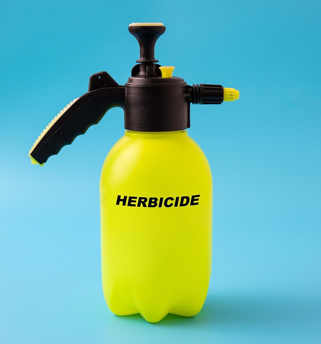 Herbicide in a plastic spray, conceptual image