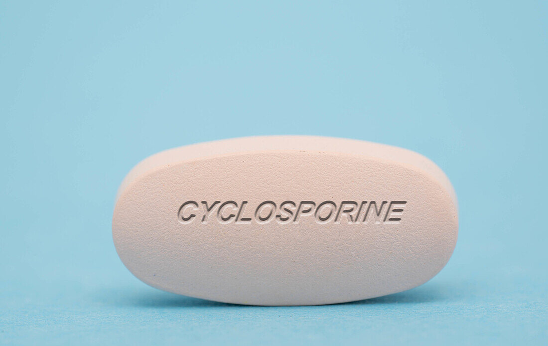 Cyclosporine pill, conceptual image