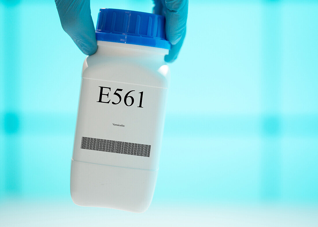 Container of the food additive E561