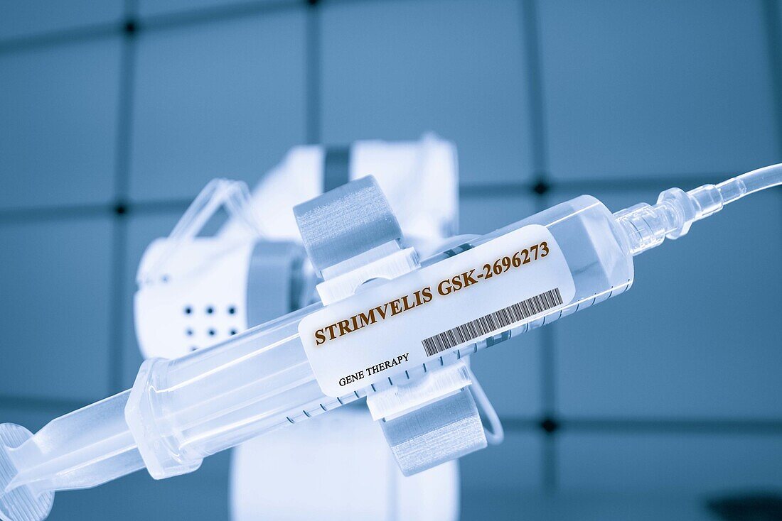 Strimvelis GSK-2696273 gene therapy, conceptual image