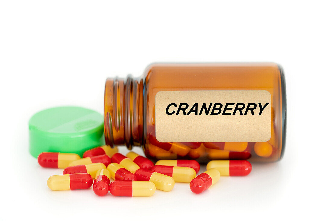 Cranberry herbal medicine, conceptual image