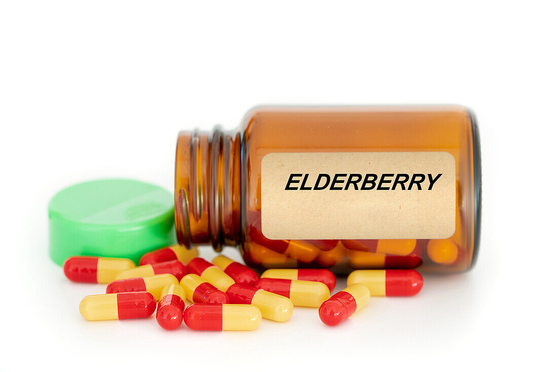 Elderberry herbal medicine, conceptual image