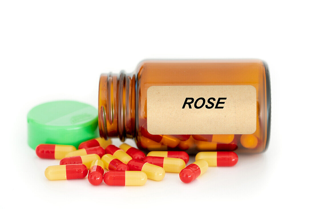 Rose herbal medicine, conceptual image