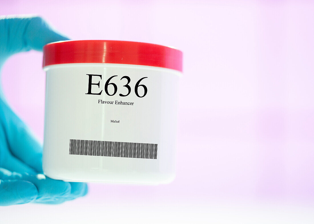 Container of the food additive E636