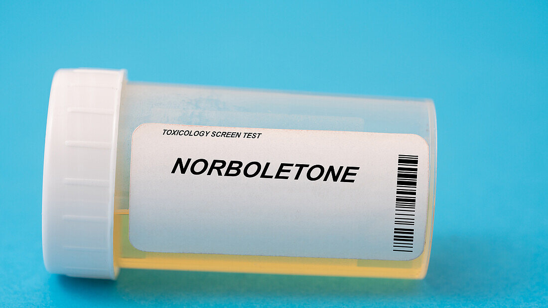 Urine test for norboletone