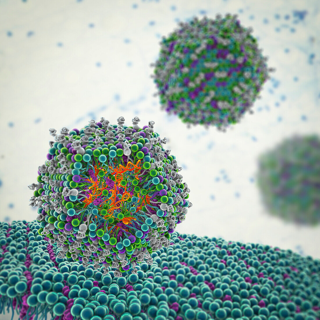 Antiviral siRNA lipid nanoparticle, illustration