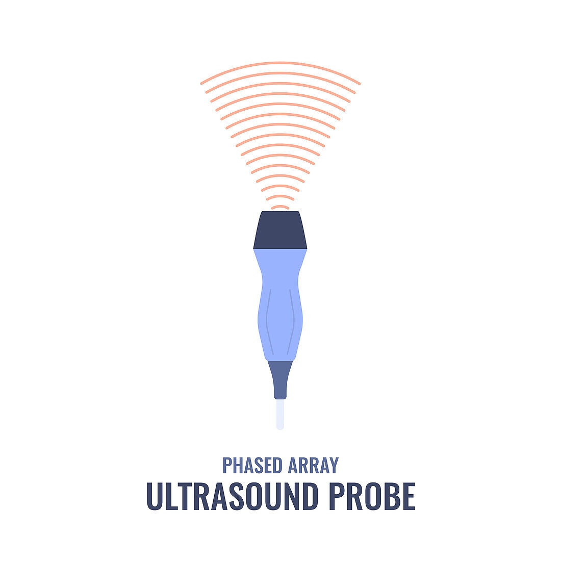 Phased array ultrasound probe, illustration