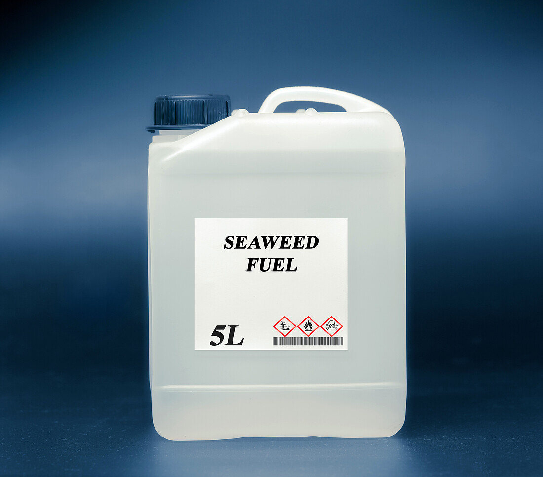 Canister of seaweed fuel