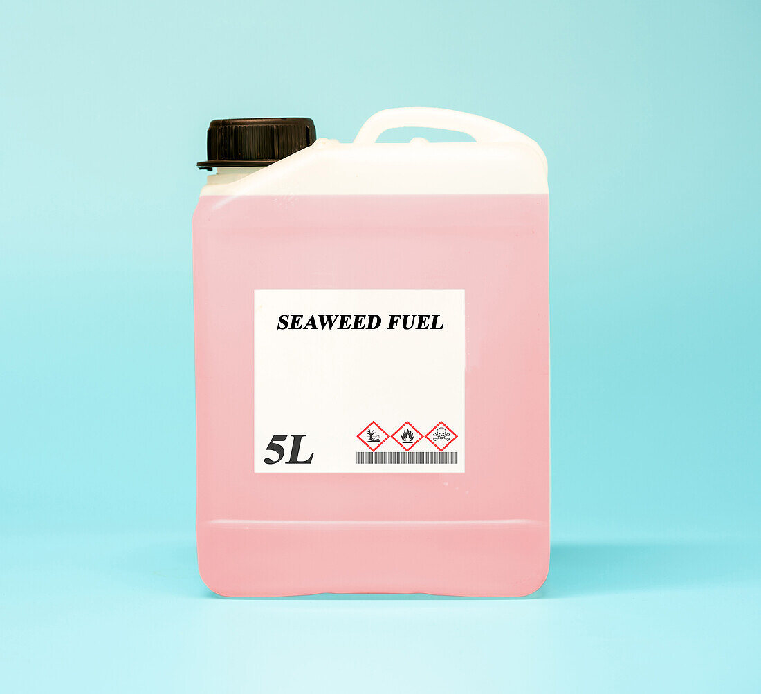 Canister of seaweed fuel