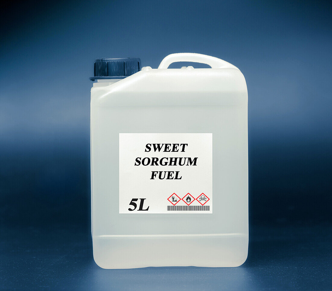 Canister of sweet sorghum fuel