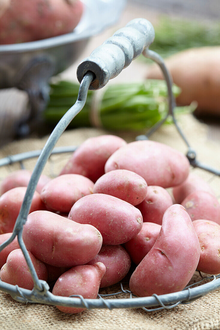 Red potatoes in a basket
