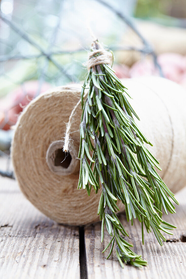 Rosmarinus officinalis