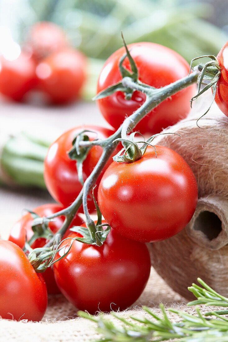 Tomaten mit Garnrolle