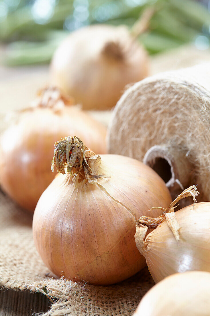 Onion with thread roll